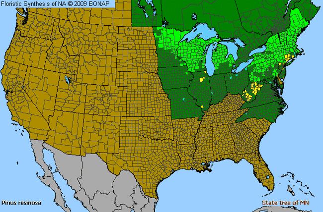 Allergies By County Map For Red Pine