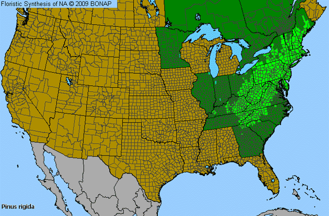 Allergies By County Map For Pitch Pine