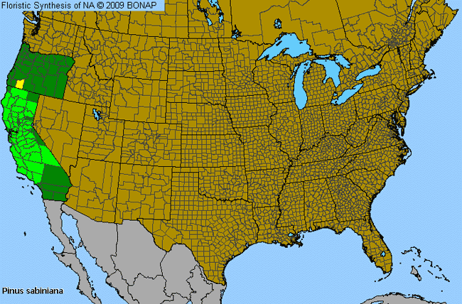 Allergies By County Map For Digger Pine