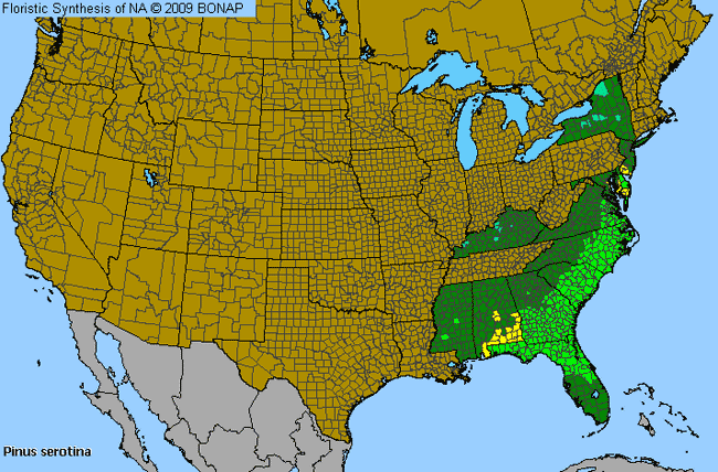 Allergies By County Map For Pond Pine