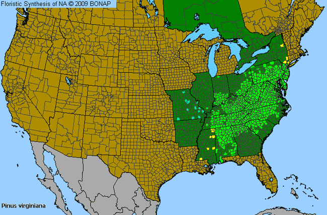 Allergies By County Map For Virginia Pine