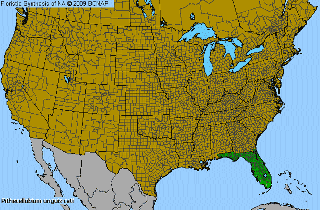 Allergies By County Map For Cat-Claw Blackbead