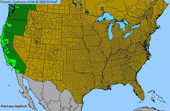 Allergies By County Map For Annual Coastal Plantain