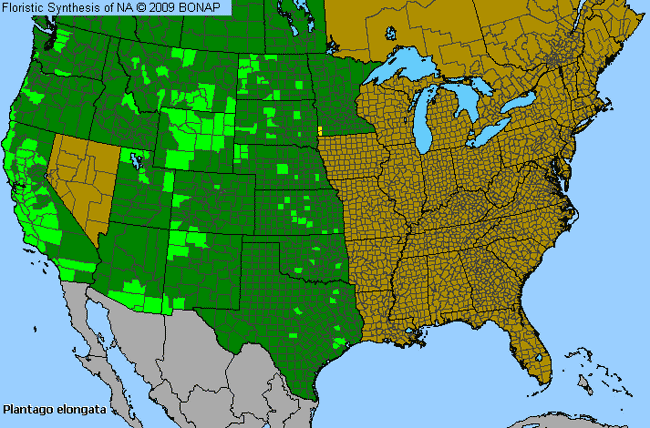 Allergies By County Map For Prairie Plantain