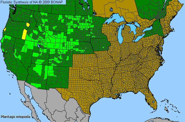 Allergies By County Map For Red-Woolly Plantain