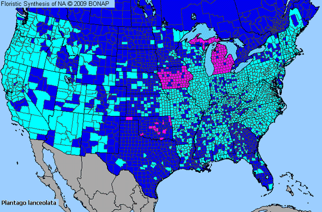 Allergies By County Map For English Plantain