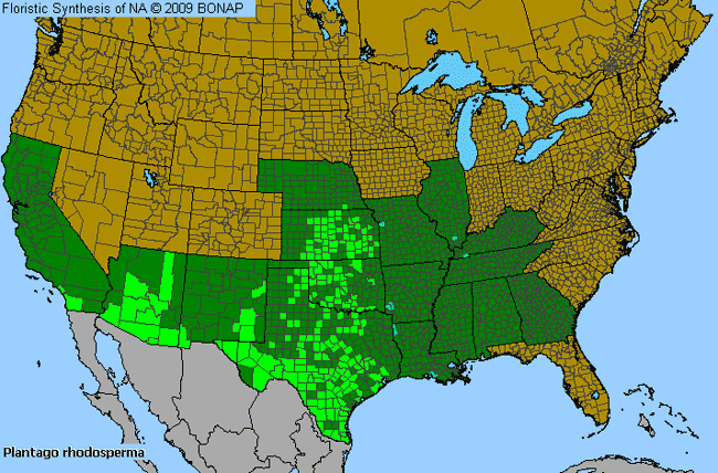 Allergies By County Map For Red-Seed Plantain