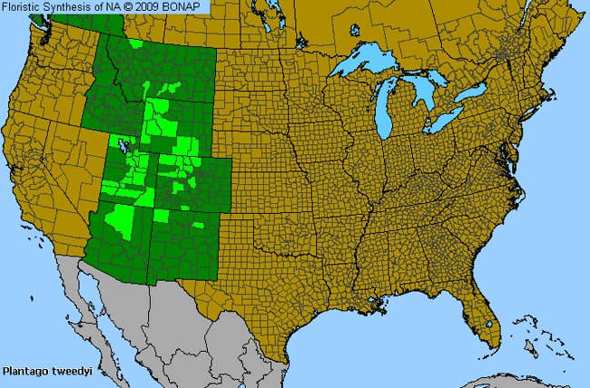 Allergies By County Map For Tweedy's Plantain