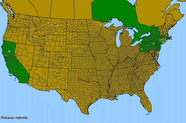 Allergies By County Map For London Planetree