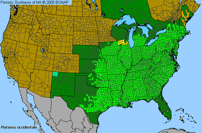 Allergies By County Map For American Sycamore