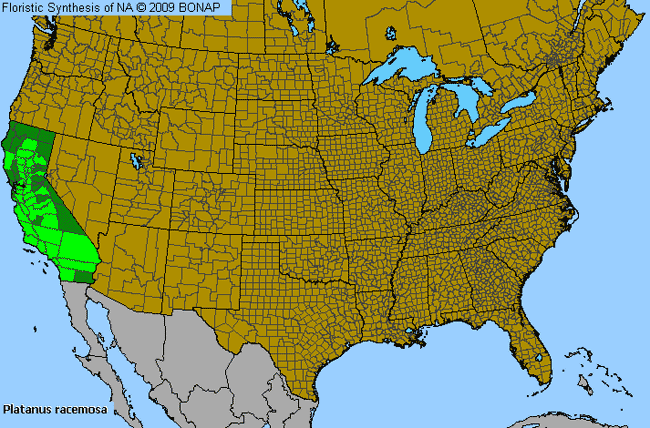 Allergies By County Map For California Sycamore