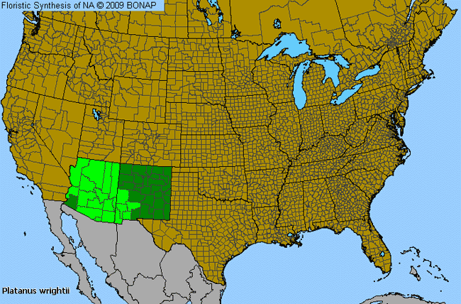 Allergies By County Map For Arizona Sycamore