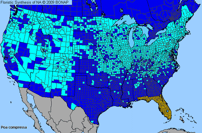 Allergies By County Map For Flat-Stem Blue Grass