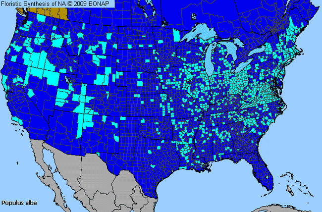 Allergies By County Map For White Poplar