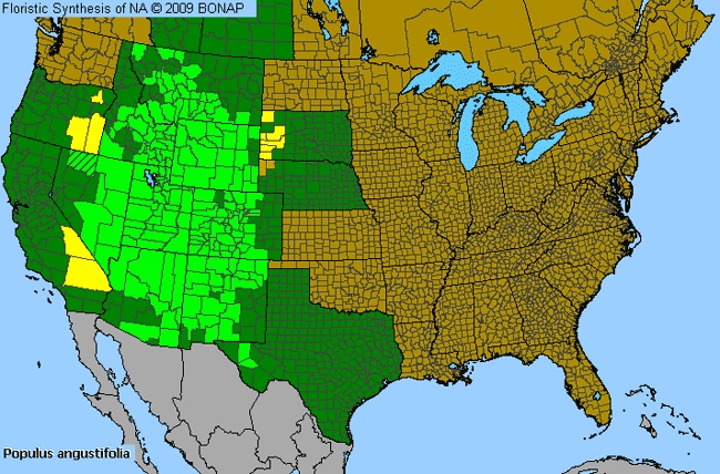 Allergies By County Map For Narrow-Leaf Cottonwood