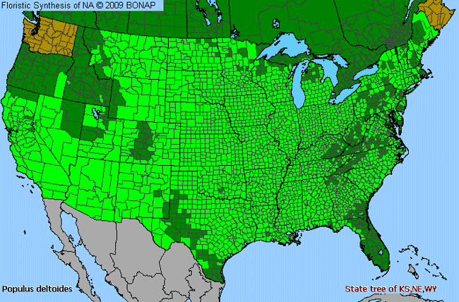 Allergies By County Map For Fremont's Cottonwood