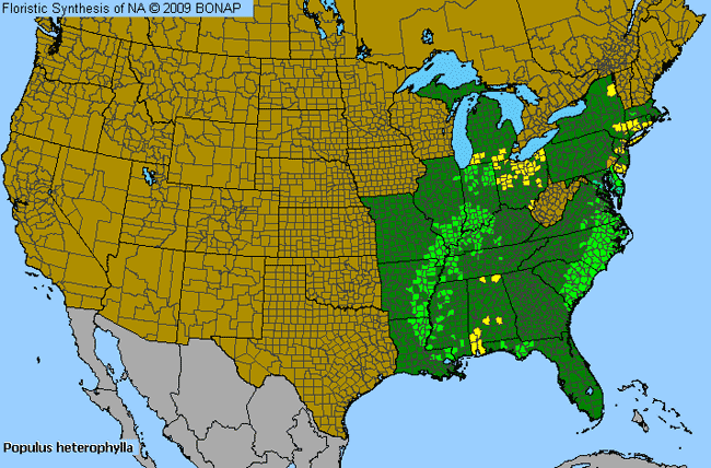 Allergies By County Map For Swamp Cottonwood