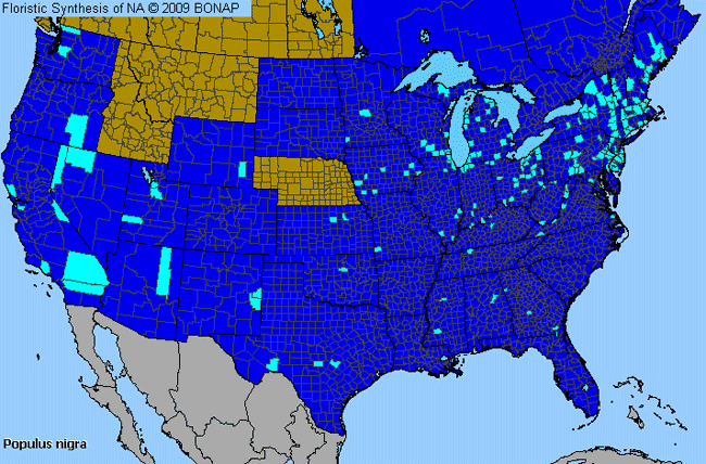 Allergies By County Map For Black Poplar