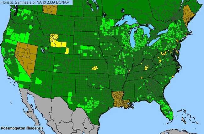 Allergies By County Map For Illinois Pondweed