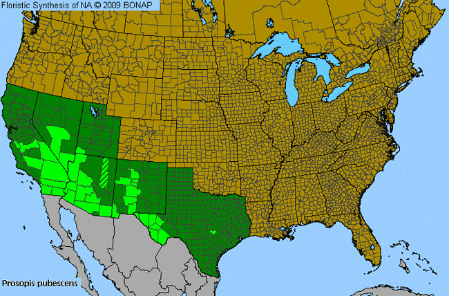 Allergies By County Map For American Screw-Bean