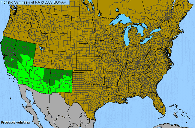 Allergies By County Map For Velvet Mesquite