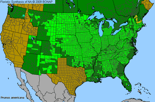 Allergies By County Map For American Plum