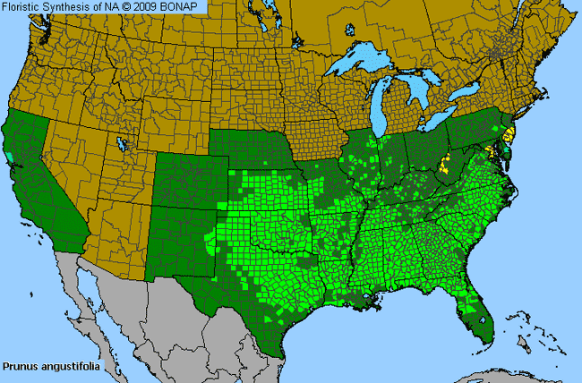 Allergies By County Map For Chickasaw Plum