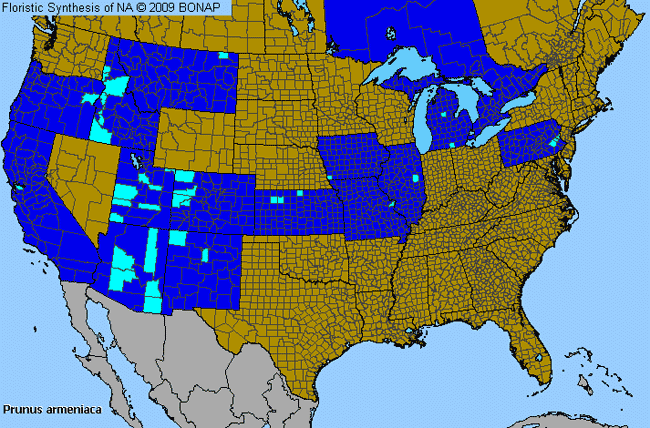 Allergies By County Map For Apricot