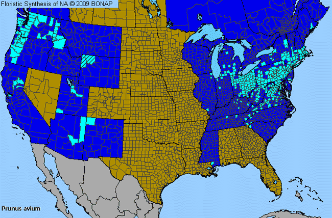 Allergies By County Map For Sweet Cherry