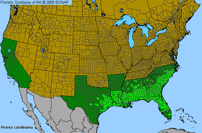 Allergies By County Map For Carolina Laurel Cherry