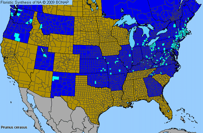 Allergies By County Map For Sour Cherry