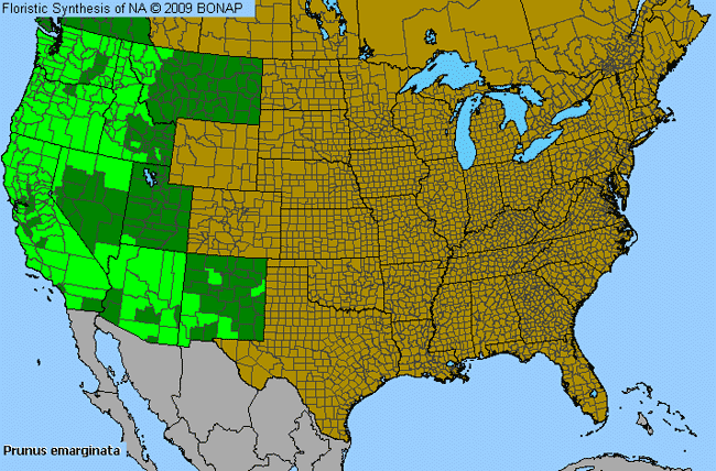 Allergies By County Map For Bitter Cherry