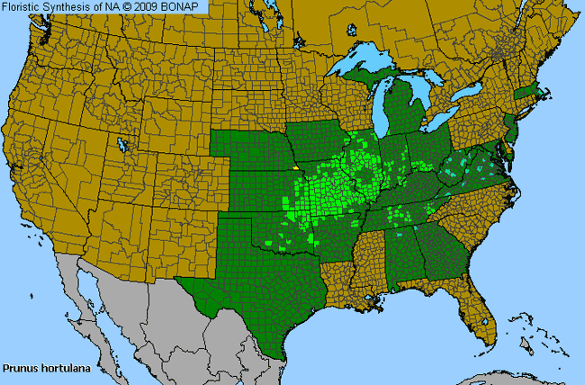 Allergies By County Map For Hortulan Plum