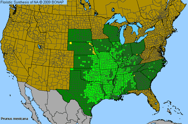 Allergies By County Map For Bigtree Plum