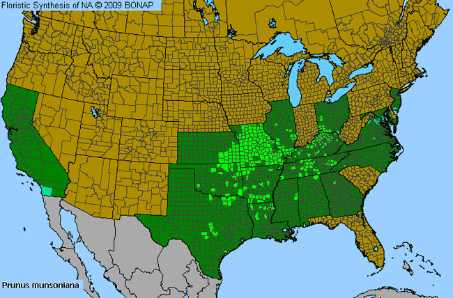 Allergies By County Map For Wild Goose Plum