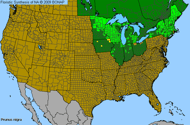 Allergies By County Map For Canadian Plum