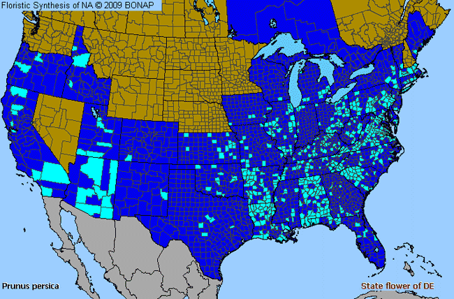 Allergies By County Map For Peach