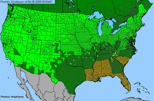 Allergies By County Map For Choke Cherry