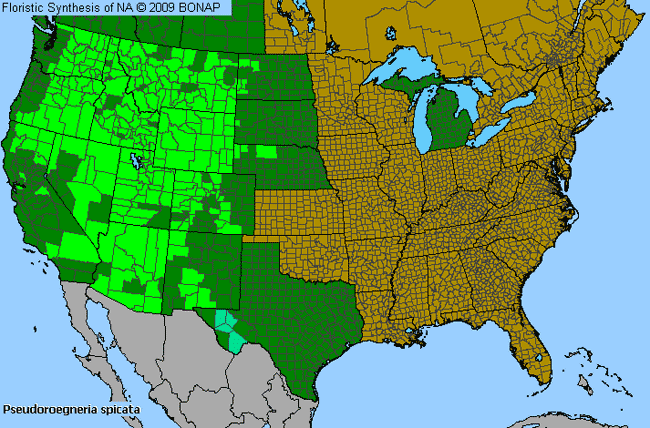 Allergies By County Map For Bluebunch-Wheat Grass