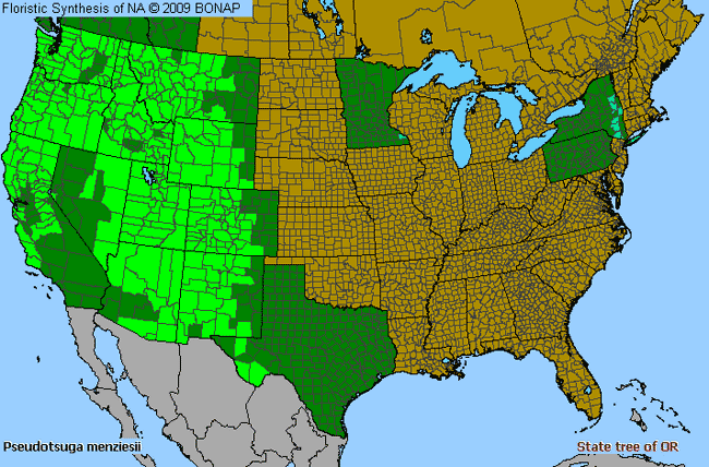 Allergies By County Map For Douglas-Fir