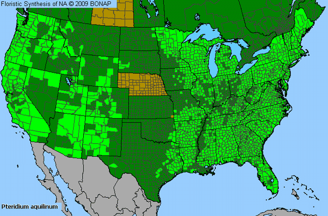 Allergies By County Map For Northern Bracken Fern