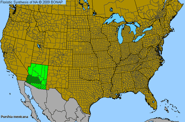 Allergies By County Map For Mexican Cliff-Rose