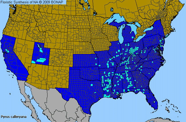 Allergies By County Map For Bradford Pear