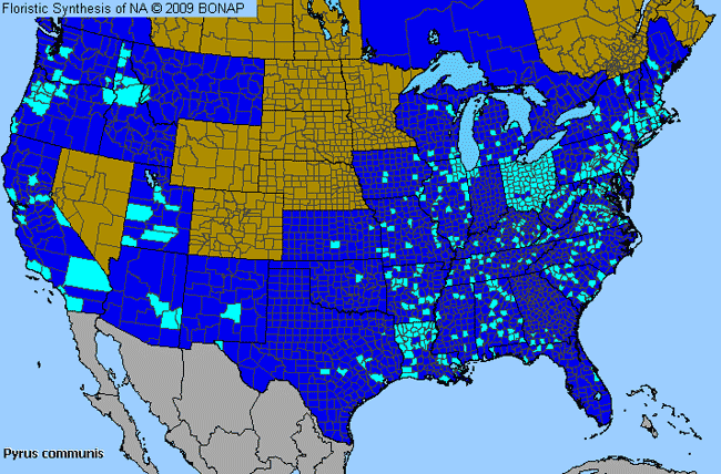 Allergies By County Map For Common Pear