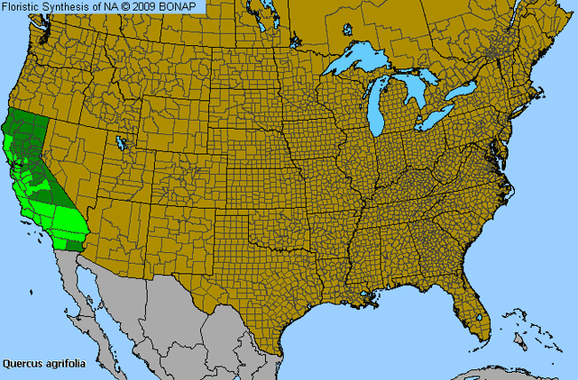 Allergies By County Map For Coastal Live Oak