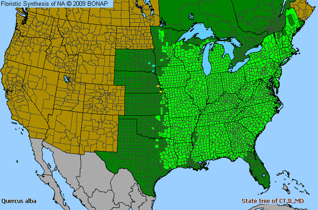 Allergies By County Map For Northern White Oak