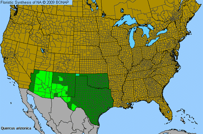 Allergies By County Map For Arizona White Oak