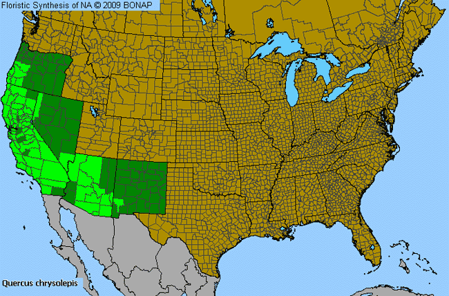 Allergies By County Map For Canyon Live Oak