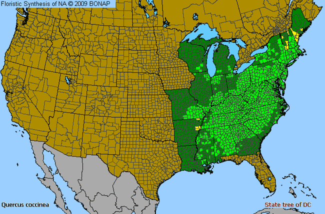 Allergies By County Map For Scarlet Oak