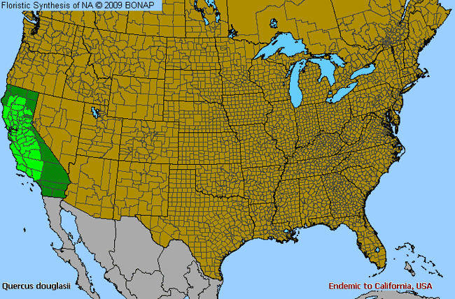 Allergies By County Map For Blue Oak